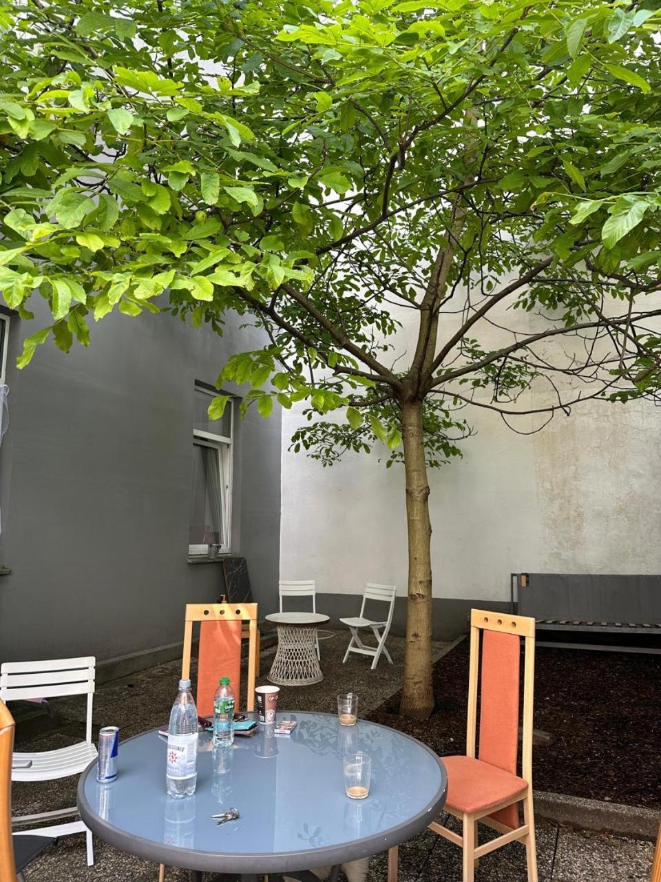 Ring 27 Grosse Ferienwohnung Im Herzen Von Gelsenkirchen Eksteriør bilde